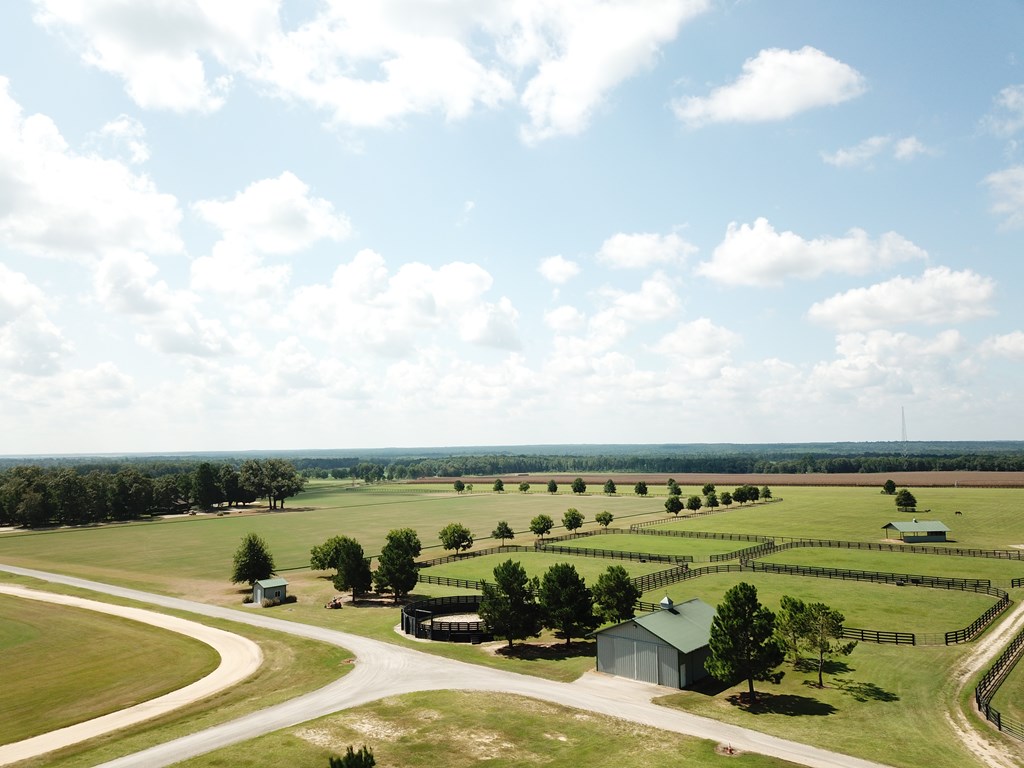 Sold 491 Burkelo Road, Wagener, SC 29164 5 Beds / 5 Full Baths / 1